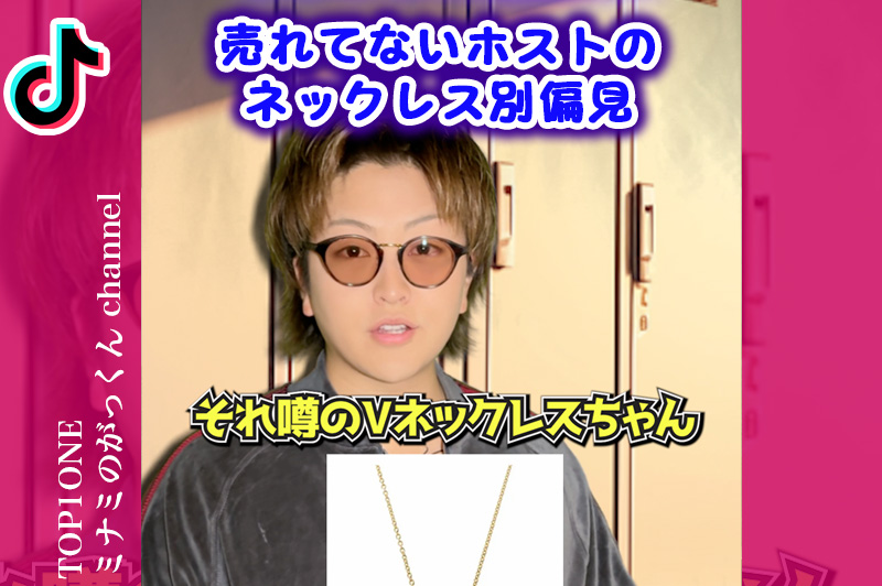 ミナミのがっくん